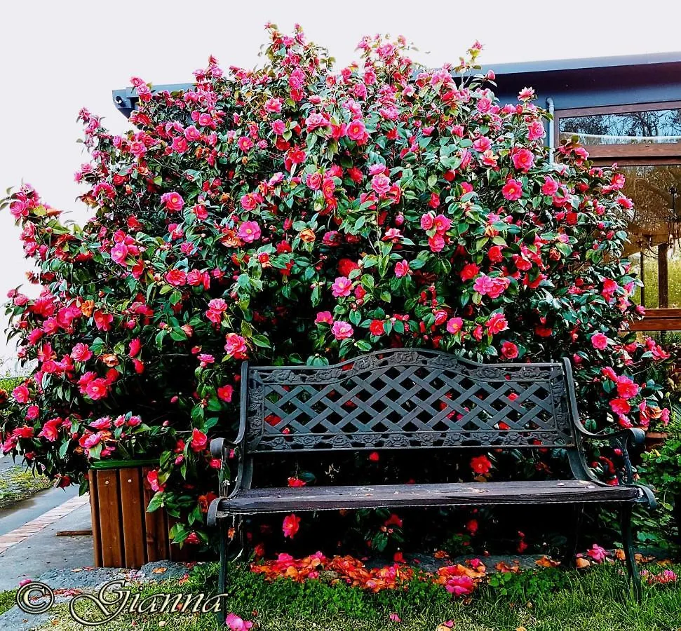 Agriturismo Dolcetna SantʼAlfio Feriegård