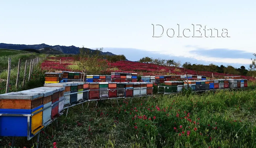 Agriturismo Dolcetna Guest House Sant'Alfio 0*,