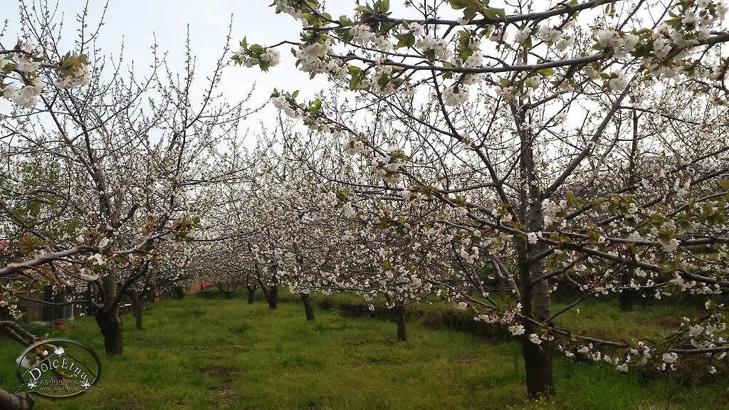 Agriturismo Dolcetna Guest House Sant'Alfio Farm stay