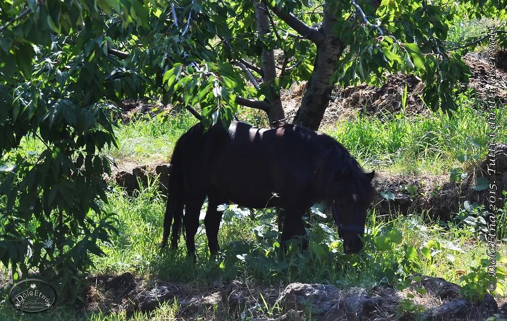 Agriturismo Dolcetna SantʼAlfio Italien